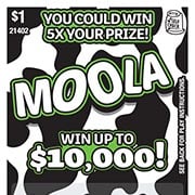 Moola